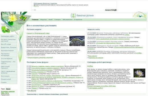 Скриншот сайта flowersweb.info