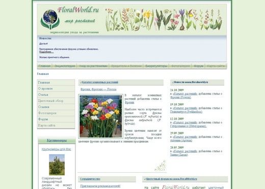 Скриншот сайта floralworld.ru
