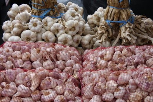 Чеснок (Garlic)