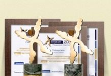 Наши награды и дипломы с Золотого сайта 2009