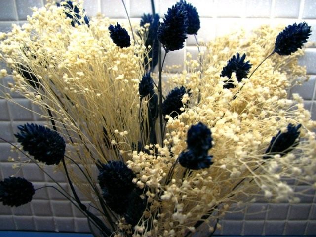 Высушенные цветы Высушенные цветы