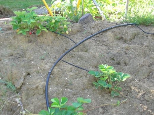 Система полива сада (Garden irrigation system)