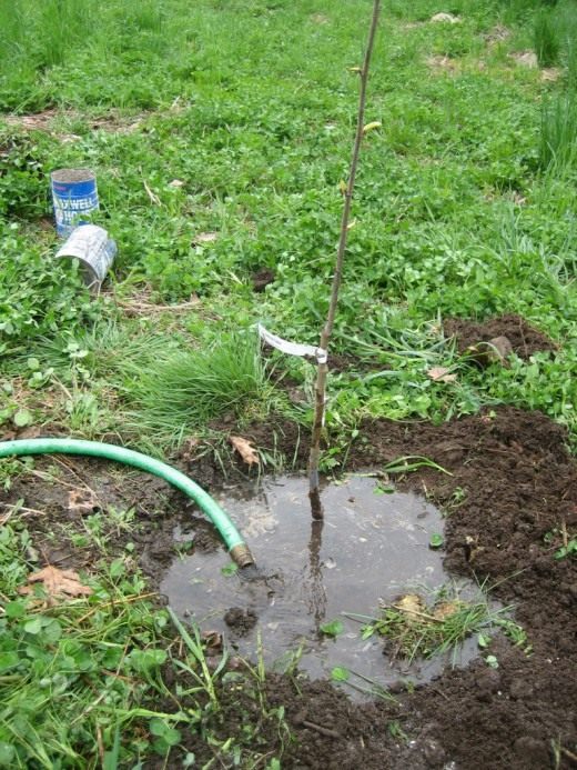 Полив сада (Watering the garden)