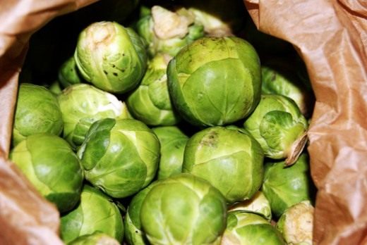 Брюссельская капуста (Brussels sprout)