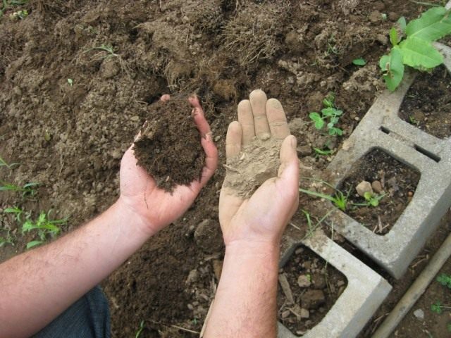 ЭМ-препараты ускоряют процессы гумусообразования, увеличивая количество гуминовых кислот, необходимых растениям ЭМ-препараты ускоряют процессы гумусообразования, увеличивая количество гуминовых кислот, необходимых растениям