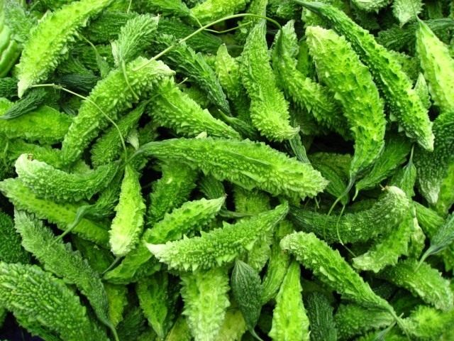 Момордика харанция, или горький огурец (Momordica charantia) Момордика харанция, или горький огурец (Momordica charantia)