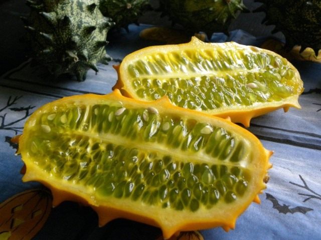 Кивано, или рогатая дыня, или огурец африканский (Cucumis metulifer) Кивано, или рогатая дыня, или огурец африканский (Cucumis metulifer)
