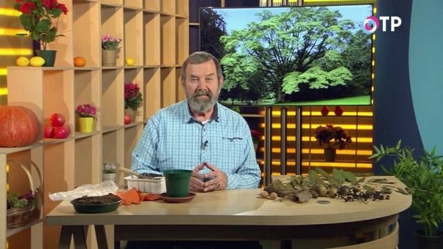 Николай Фурсов. Кандидат сельскохозяйственных наук Николай Фурсов. Кандидат сельскохозяйственных наук