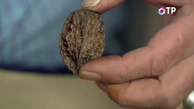 Маньчжурский орех Маньчжурский орех