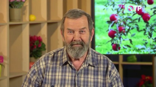 Кандидат сельскохозяйственных наук Николай Петрович Фурсов о зимней заготовке черенков плодовых деревьев для весенней прививки Кандидат сельскохозяйственных наук Николай Петрович Фурсов о зимней заготовке черенков плодовых деревьев для весенней прививки