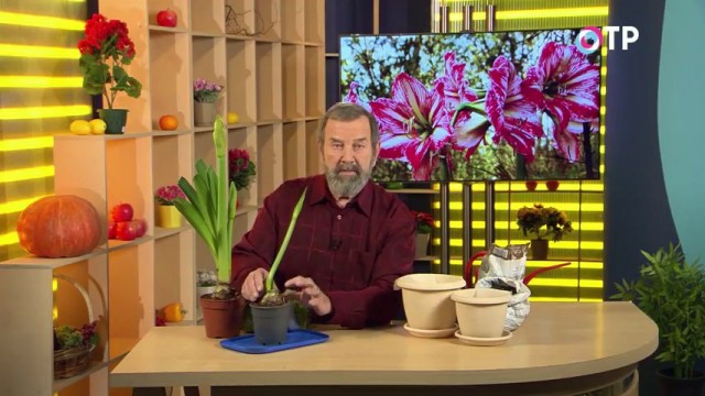 Кандидат сельскохозяйственных наук Николай Фурсов Кандидат сельскохозяйственных наук Николай Фурсов