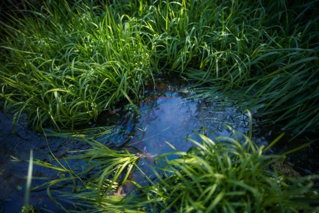 Участок с высокими грунтовыми водами Участок с высокими грунтовыми водами