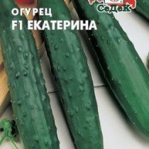 Огурец «Екатерина» Огурец «Екатерина»