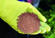Нитроаммофоска помогает получить полноценный урожай и ухаживать за декоративными культурами