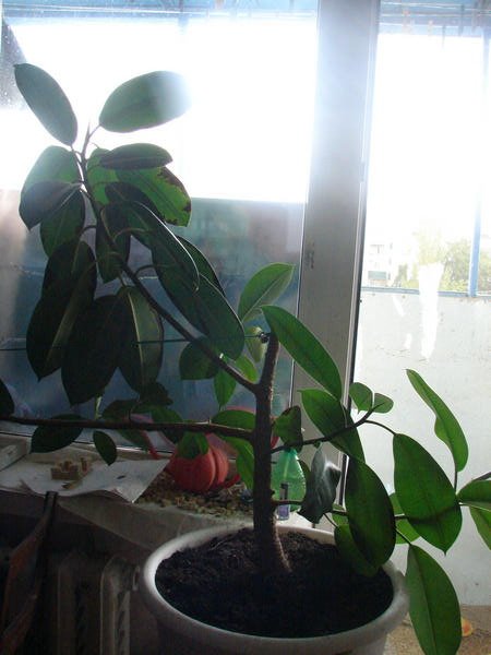 DSC04768