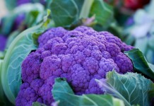 7 полезных и вкусных фиолетовых овощей