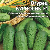 Огурец «Курносик» — обилие вкусных корнишонов! Идеален для консервирования!