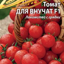 Томат «Для внучат» — урожайный! Не боится жары и засухи! Очень нравится детям!
