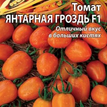 Томат «Янтарная гроздь» — черри-томат с сочными вкусными плодами!