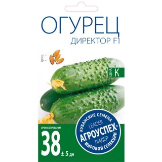 Огурец «Директор» F1