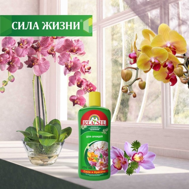 Удобрение «Reasil® для орхидей» Удобрение «Reasil® для орхидей»