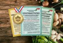 Споробактерин против болезней рассады