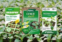 Недостаток комплекса элементов приведет к слабому развитию растений