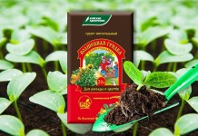 С землей с участка можно занести различные болезни и вредителей растений, что отрицательно скажется на качестве рассады