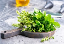 10 пряных растений, которые нужно выращивать, если любите готовить