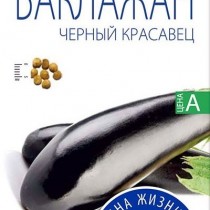 Баклажан «Черный красавец» Баклажан «Черный красавец»