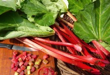 Ревень — вкусные черешки, целебный корень