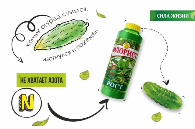 Если мало азота, кончики плода изгибаются и желтеют Если мало азота, кончики плода изгибаются и желтеют