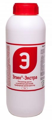 Эпин-экстра – Адаптоген широкого спектра действия Эпин-экстра – Адаптоген широкого спектра действия