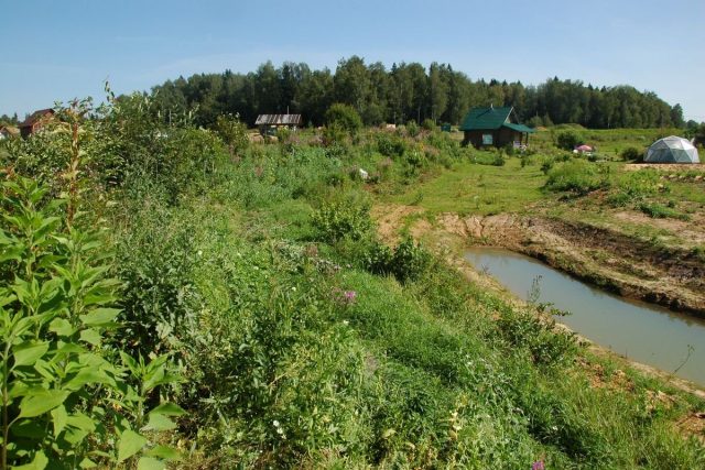 Ветрозащитная гряда Ветрозащитная гряда