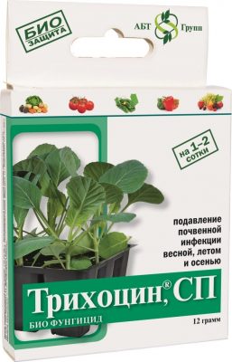 Биопрепарат «Трихоцин» Биопрепарат «Трихоцин»