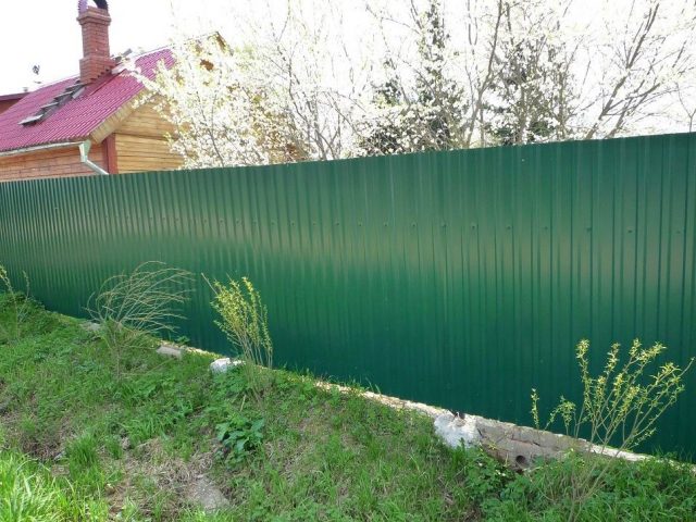 Эффективным решением для защиты от кошек может стать высокий забор из профлиста Эффективным решением для защиты от кошек может стать высокий забор из профлиста