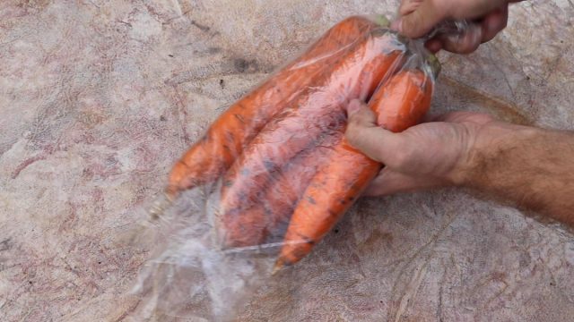 Укутывание моркови в пакеты и плёнку Укутывание моркови в пакеты и плёнку