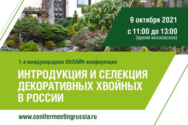 Онлайн-конференции о декоративных хвойных в России Онлайн-конференции о декоративных хвойных в России