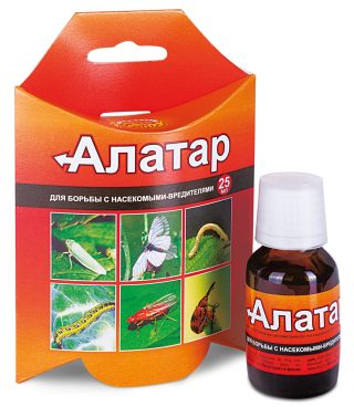 «Алатар» защитит от вредителей большинство садовых и огородных культур на Вашем участке «Алатар» защитит от вредителей большинство садовых и огородных культур на Вашем участке