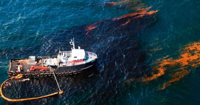 Обнаружены бактерии, способные «поедать» нефть. Обнаружены бактерии, способные «поедать» нефть.