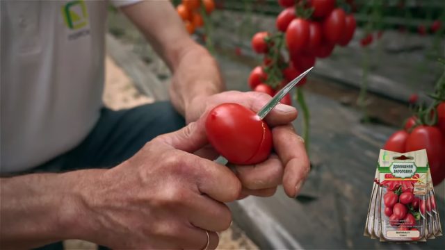 Вкус у «Марины» классический томатный, кисло-сладкий с ярким, выраженным ароматом, хорошо раскрывающийся при нарезке плодов Вкус у «Марины» классический томатный, кисло-сладкий с ярким, выраженным ароматом, хорошо раскрывающийся при нарезке плодов