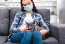 9 опасных болезней, которыми можно заразиться от животных