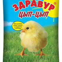 С самого раннего возраста в меню молодняка стоит включить кормовую добавку Здравур Цып-Цып для цыплят С самого раннего возраста в меню молодняка стоит включить кормовую добавку Здравур Цып-Цып для цыплят
