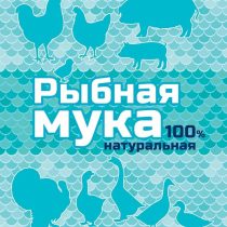 100% натуральная рыбная мука способна обеспечить птицу как кальцием, так и фосфором 100% натуральная рыбная мука способна обеспечить птицу как кальцием, так и фосфором