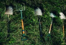 Садовый инвентарь: 7 главных помощников дачника