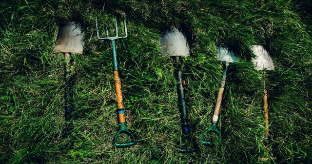 Садовый инвентарь: 7 главных помощников дачника. Садовый инвентарь: 7 главных помощников дачника