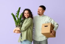 Самые долгоживущие комнатные растения — 11 надёжных вариантов