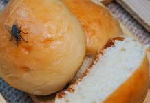 В чем опасность обычной мухи и как с ней эффективно бороться