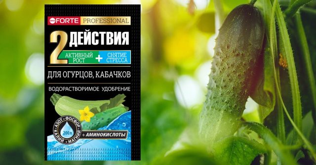 Водорастворимое удобрение Bona Forte для огурцов и кабачков. Водорастворимое удобрение Bona Forte для огурцов и кабачков.